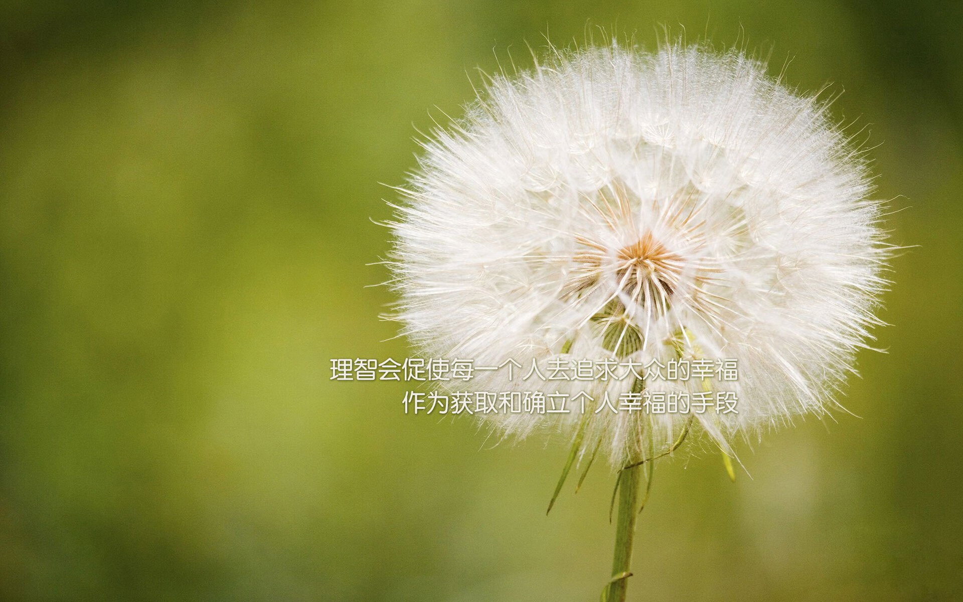 开云网站-乔治暴走快船轻取雄鹿，快船乔治伤病